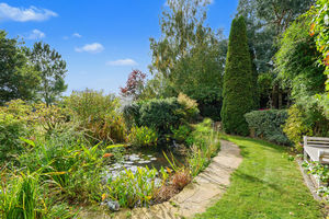Pond- click for photo gallery